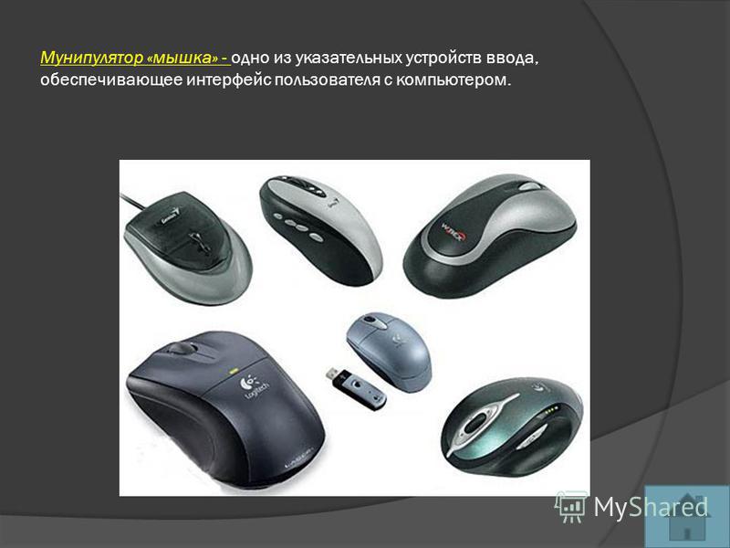 Мунипулятор «мышка» - одно из указательных устройств ввода, обеспечивающее интерфейс пользователя с компьютером.