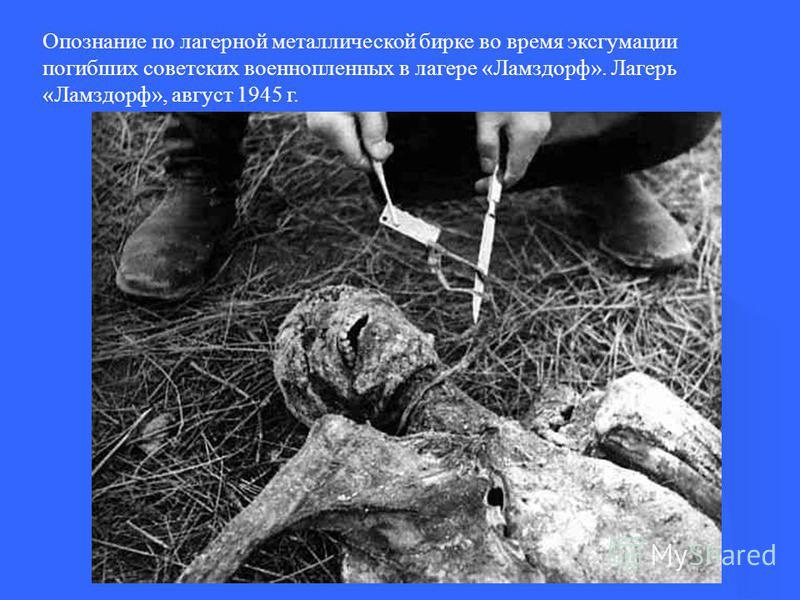 Опознание по лагерной металлической бирке во время эксгумации погибших советских военнопленных в лагере «Ламздорф». Лагерь «Ламздорф», август 1945 г.