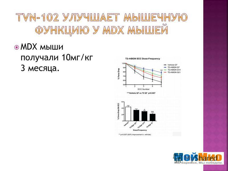 MDX мыши получали 10 мг/кг 3 месяца.