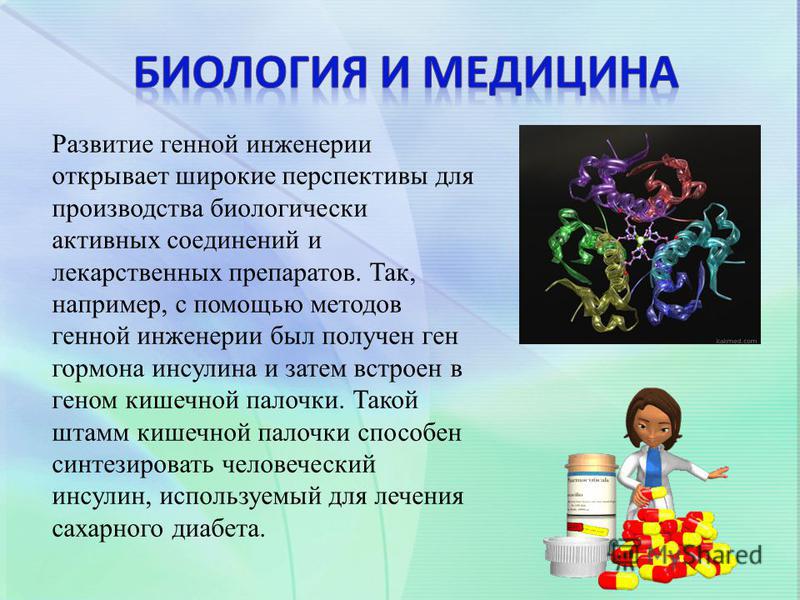Эссе На Тему Биология Эссе На Тему Биология