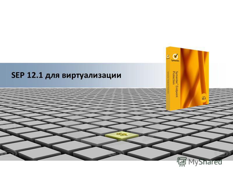 SEP 12.1 для виртуализации