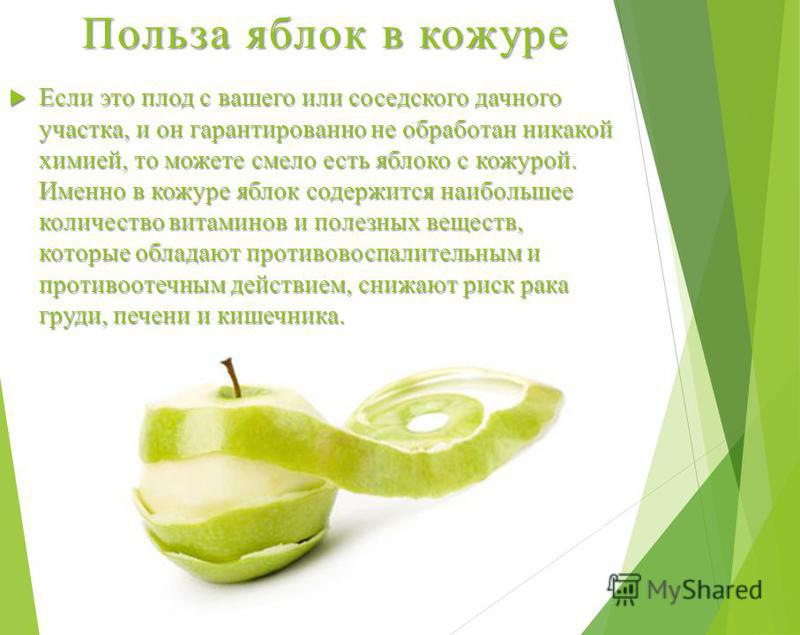 Польза яблок в кожуре Если это плод с вашего или соседского дачного участка, и он гарантированно не обработан никакой химией, то можете смело есть яблоко с кожурой. Именно в кожуре яблок содержится наибольшее количество витаминов и полезных веществ, 
