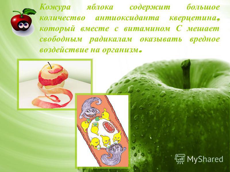 Кожура яблока содержит большое количество антиоксиданта кверцетина, который вместе с витамином С мешает свободным радикалам оказывать вредное воздействие на организм.