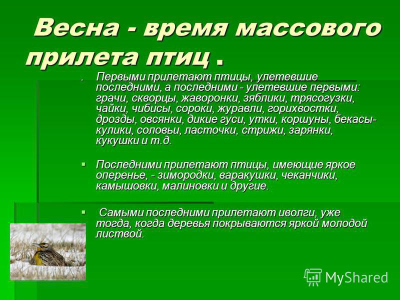 Картинки прилета птиц наступления весны Картинки прилета птиц наступления весны
