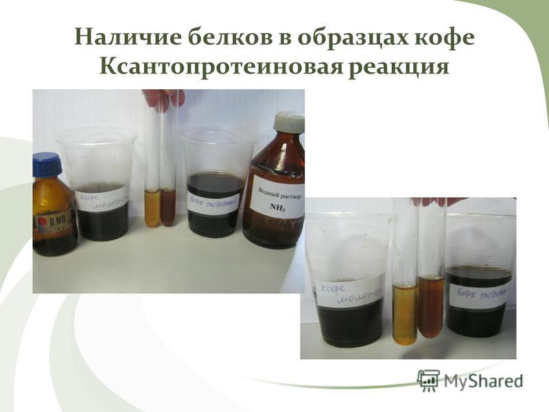 Наличие белков в образцах кофе Ксантопротеиновая реакция