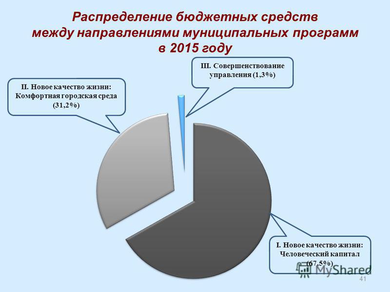 41 Распределение бюджетных средств между направлениями муниципальных программ в 2015 году