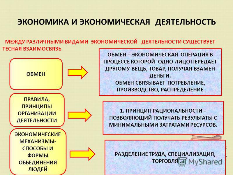 Урок обществознания 10 класс роль экономики в жизни общества