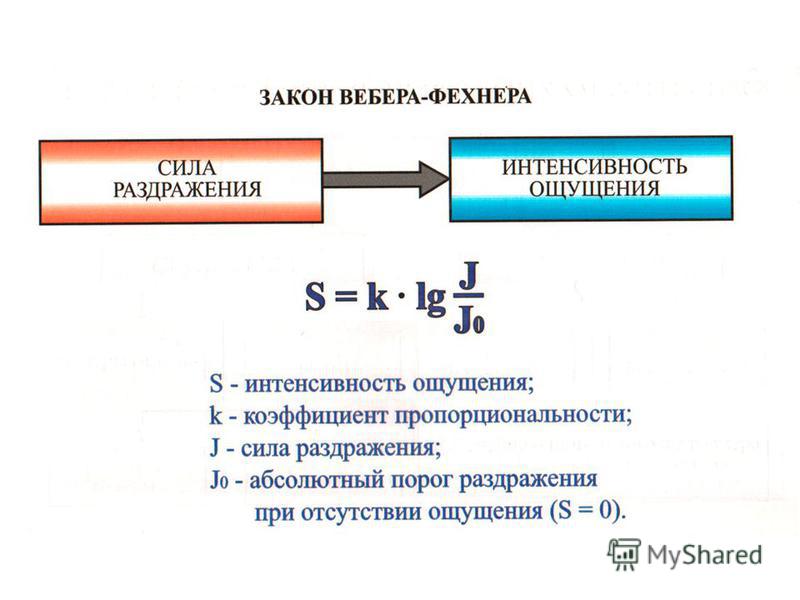 механорецепторы возбуждаются при воздействии следующих факторов механорецепторы возбуждаются при воздействии следующих факторов