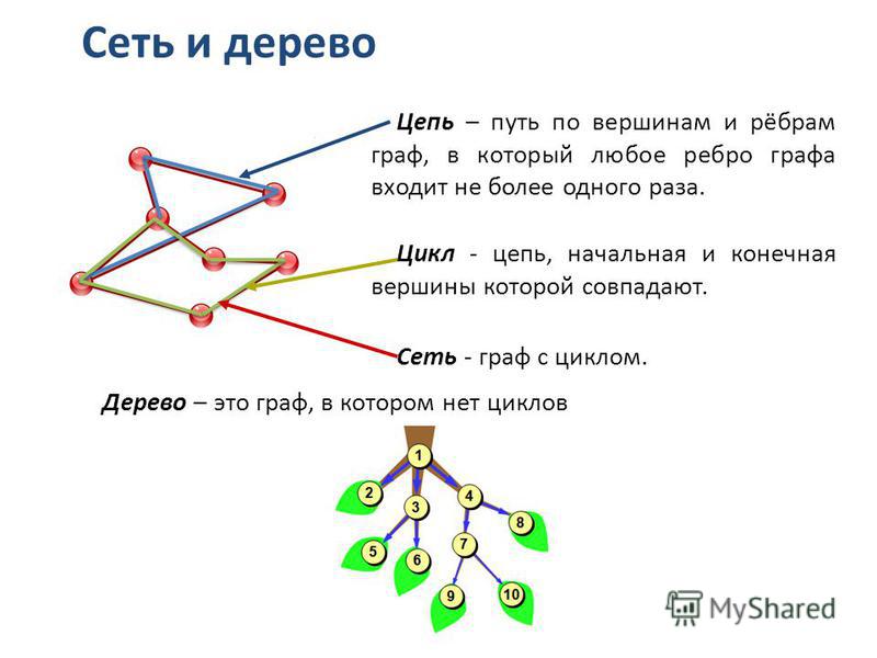 Сеть и дерево Цепь – путь по вершинам и рёбрам граф, в который любое ребро графа входит не более одного раза. Дерево – это граф, в котором нет циклов Цикл - цепь, начальная и конечная вершины которой совпадают. Сеть - граф с циклом.