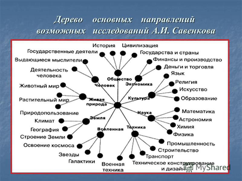 Дерево основных направлений возможных исследований А.И. Савенкова