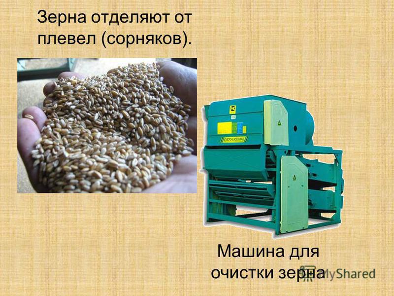 Зерна отделяют от плевел (сорняков). Машина для очистки зерна