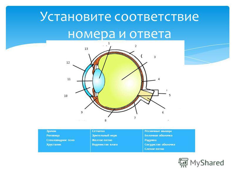 Как самому восстановить зрение форум