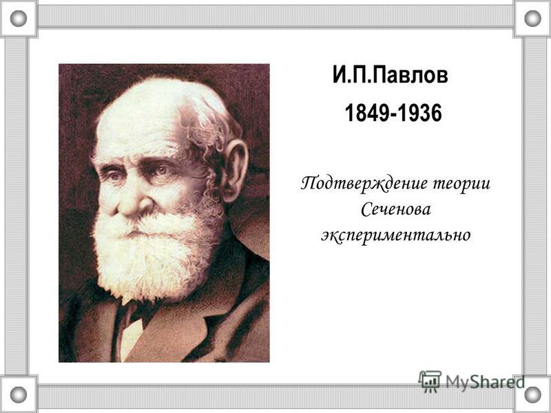 И.П.Павлов 1849-1936 Подтверждение теории Сеченова экспериментально