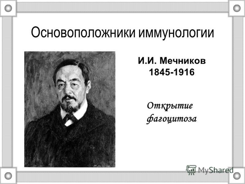Основоположники иммунологии Открытие фагоцитоза И.И. Мечников 1845-1916