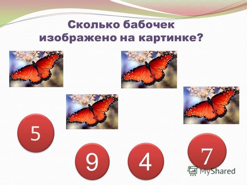 5 5 9 9 4 4 7 7 Сколько бабочек изображено на картинке?