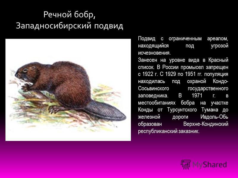 Находящийся по статусу Находящийся по статусу