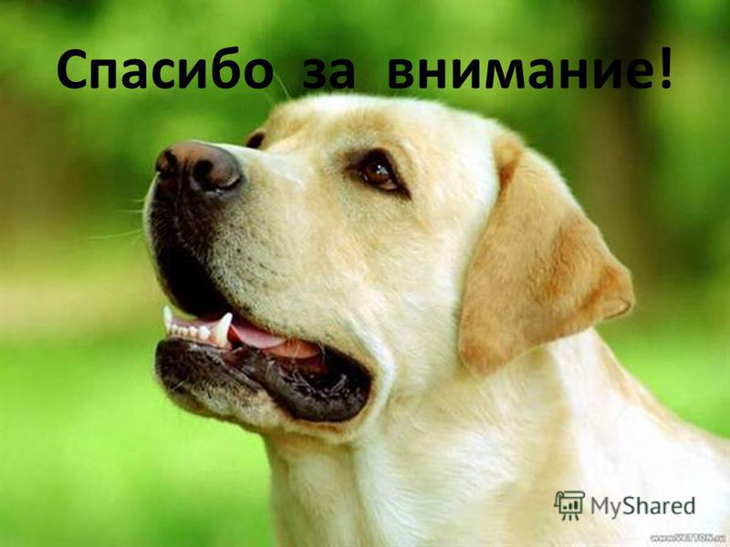 исследовательская работа дом в котором я живу исследовательская работа дом в котором я живу