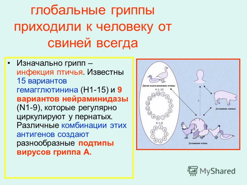 Ил 2 скачать без Вирусов