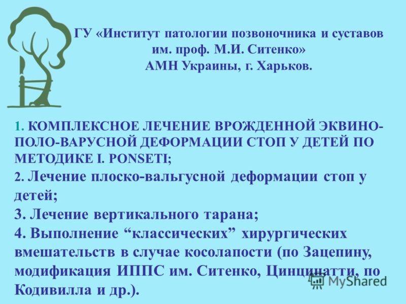 комплексное лечение от паразитов у человека комплексное лечение от паразитов у человека