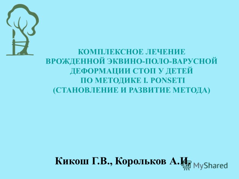 Институт суставов им ситенко харьков Институт суставов им ситенко харьков