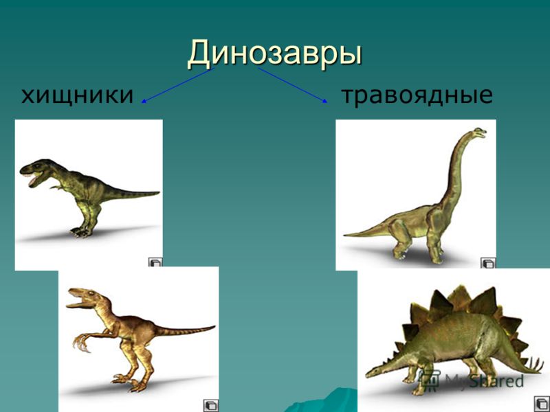 Презентация динозавры 1 класс