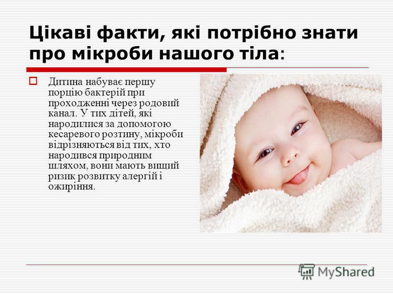 Факти які потрібно знати про мікроби Факти які потрібно знати про мікроби