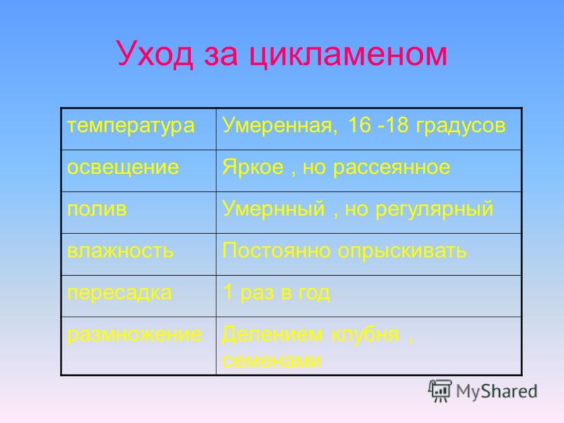 Нет лучшей прически, чем свежий срез или все, что вы хотели Маска для волос Compliment Naturalis 3 в 1 С Перцем Отзывы