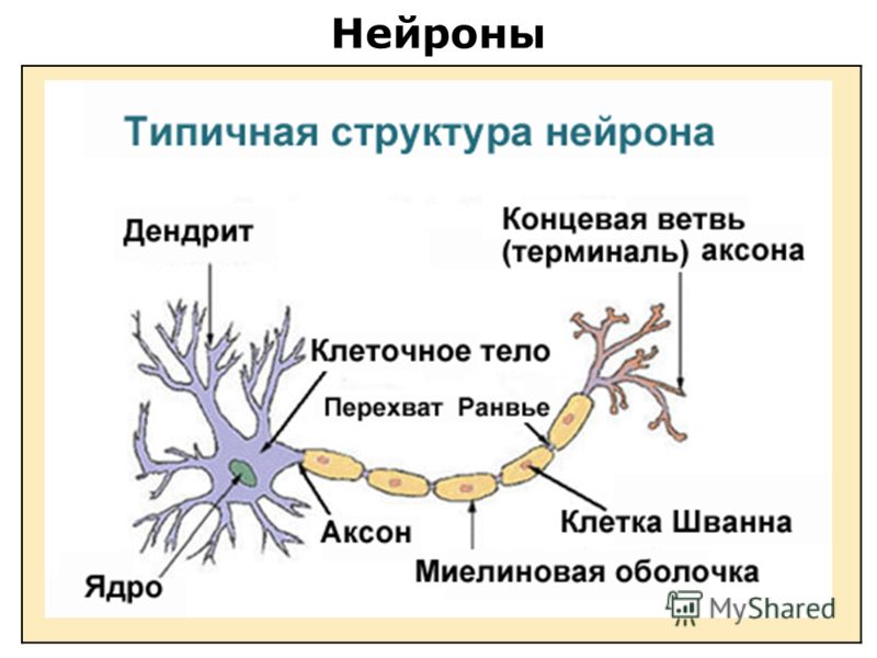 Какими лекарственными ср-ми можно снять зависимость от алкоголя