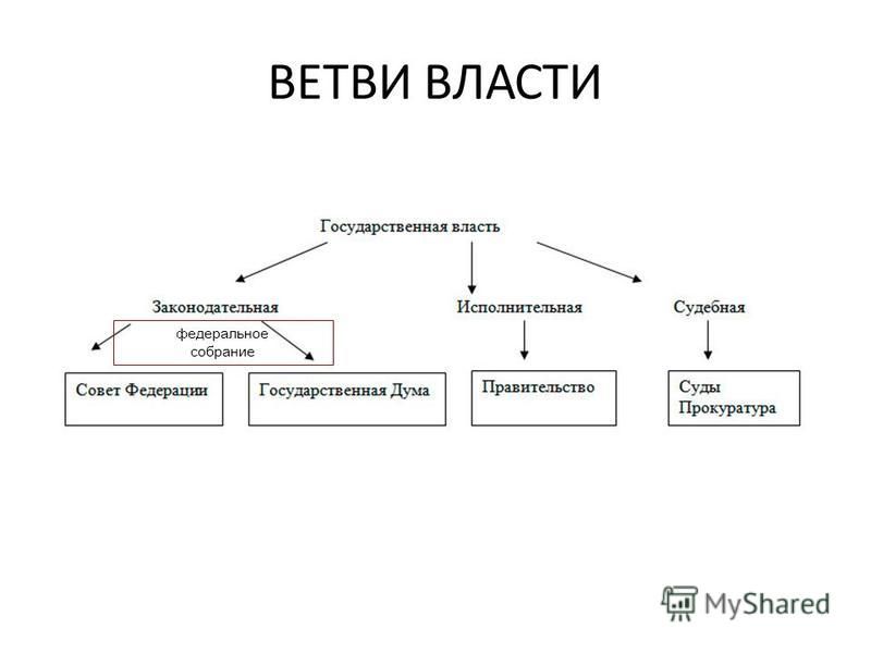 Ветви власти и их примеры