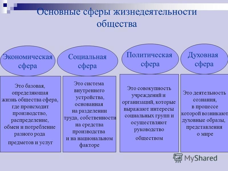 Схему характеризующую разновидности дисциплины в жизнедеятельности общества и государства