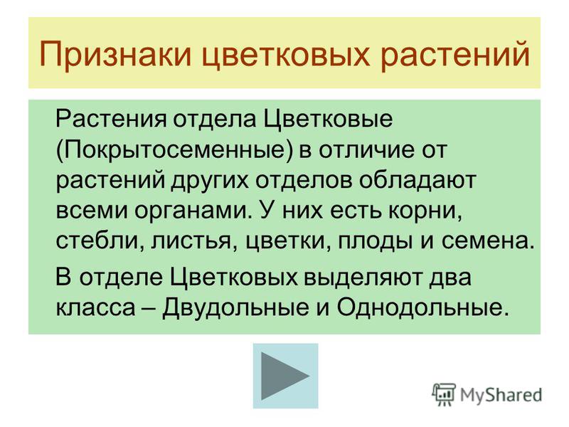 к какому семейству относится толстолобик к какому семейству относится толстолобик