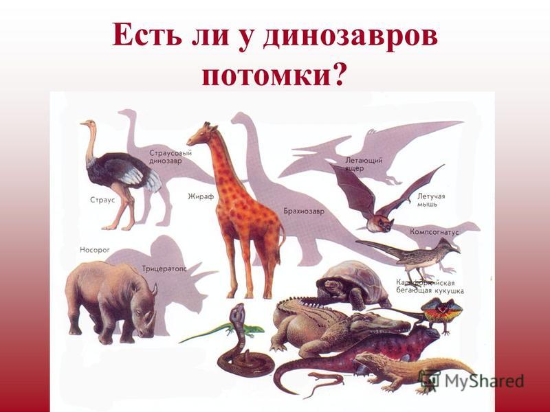 Есть ли у динозавров потомки?
