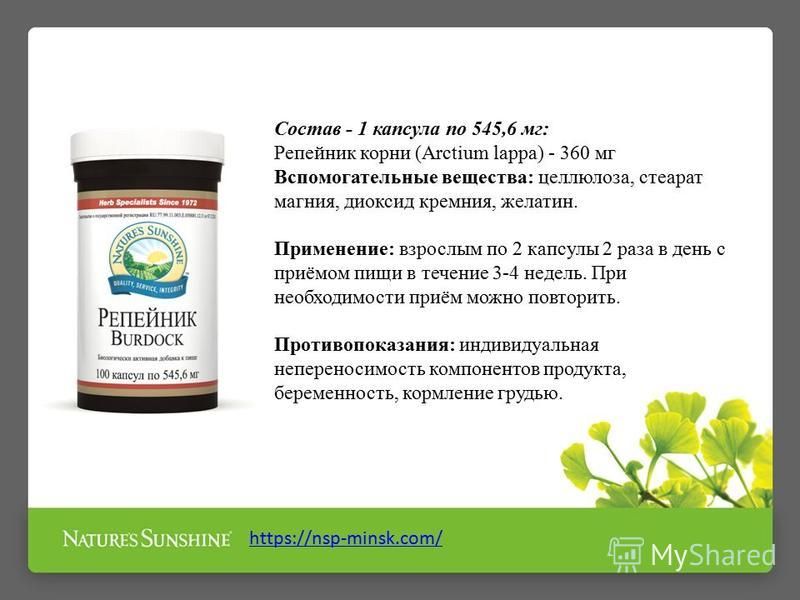 Презентация на тему: "Репейник НСП (Burdock NSP) - состав, описание ...