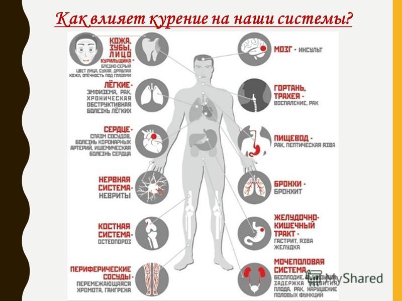 Презентация на тему влияние курения на организм молодого человека