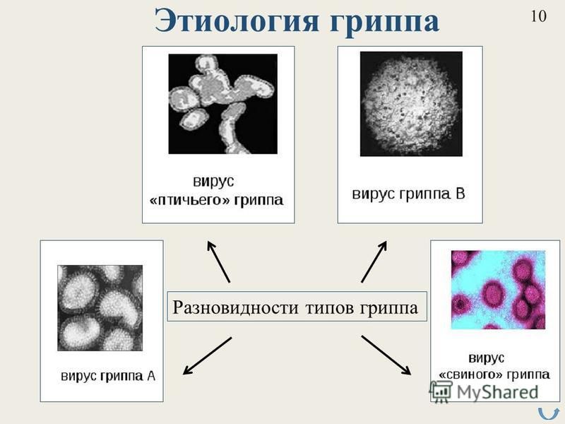 Грипп этиология патогенез клиника диагностика лечение профилактика презентация