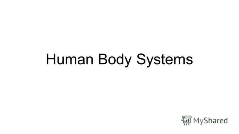 Презентация на тему Human Body Systems Nervous System Functions