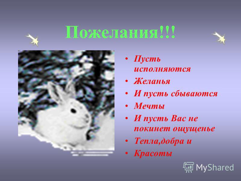 Подарки из шаров к 8 марта фото