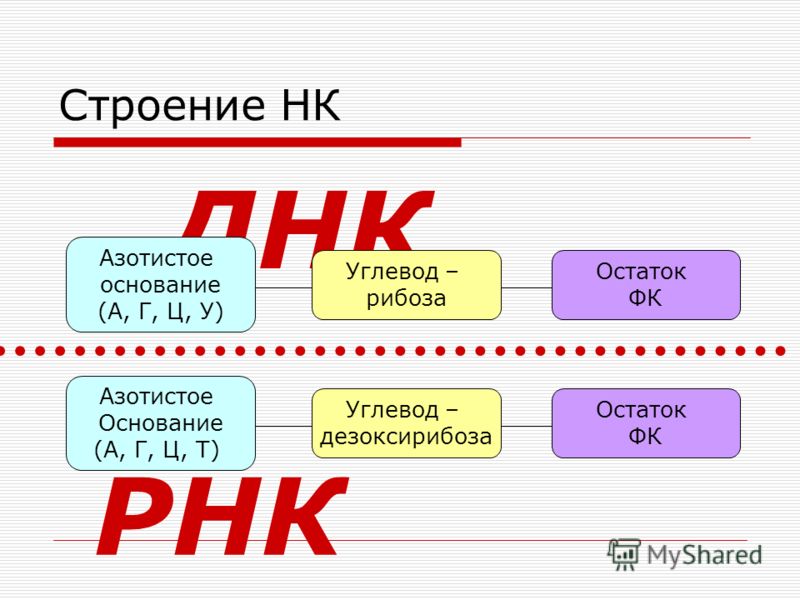Алгебра 11 класс бевз