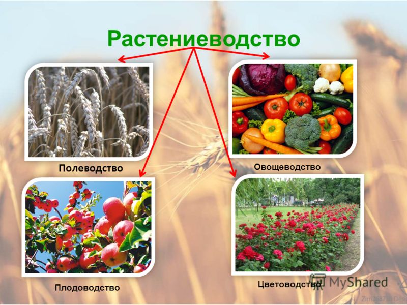 Математика в 10 классе сложная