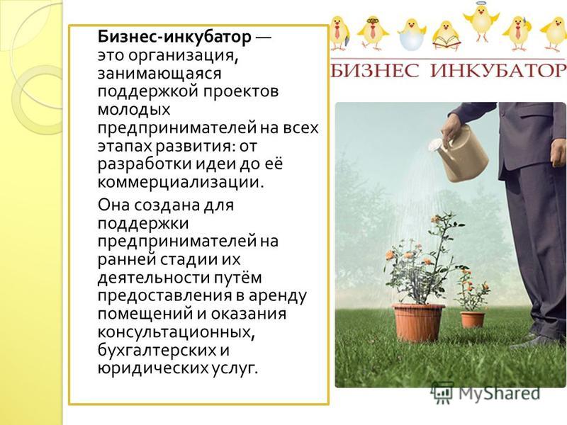 Организация занимающаяся поддержкой проектов молодых предпринимателей