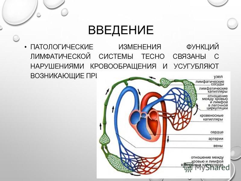 Реферат: Литература - Патофизиология (ПАТОФИЗИОЛОГИЯ ЛИМФАТИЧЕСКОЙ СИСТЕМЫ)