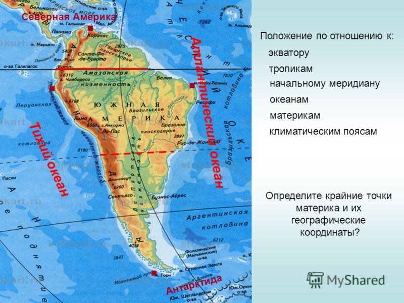 Антарктида положение материка по отношению к экватору Антарктида положение материка по отношению к экватору