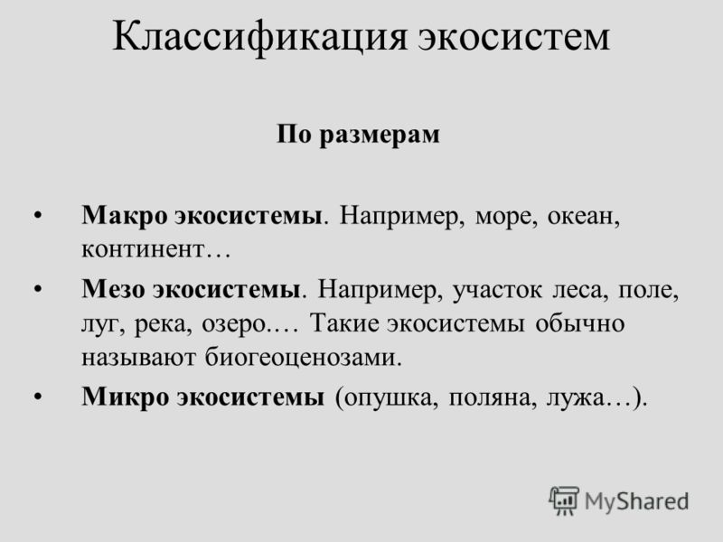 Реферат На Тему Экосистема Моря Реферат На Тему Экосистема Моря