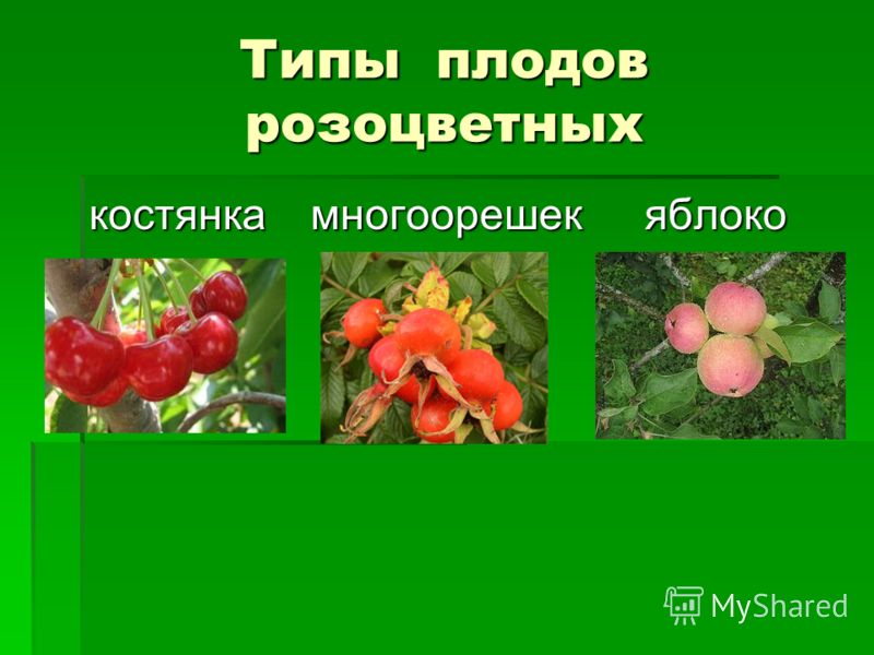 алкоголь 120 скачать бесплатно для windows 7
