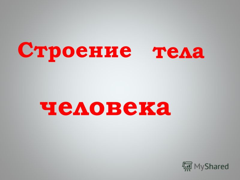 Наука детям. Конструктор Наука детям. Конструктор