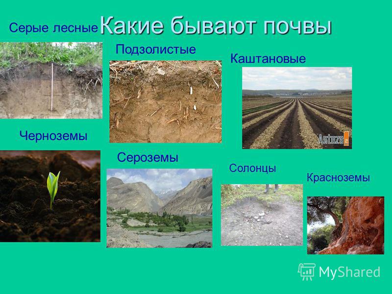 Учебник по обществознанию за 9 класс кравченко читать онлайн