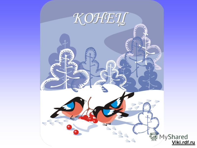 Зимние конверты kids comfort купить