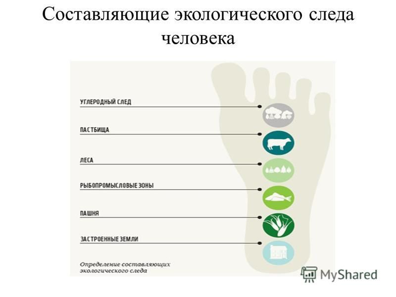 Пример человека оставившего след в жизни