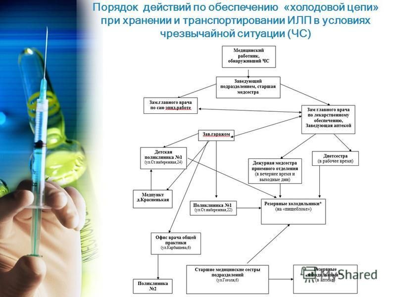 Схема холодовой цепи в прививочном кабинете