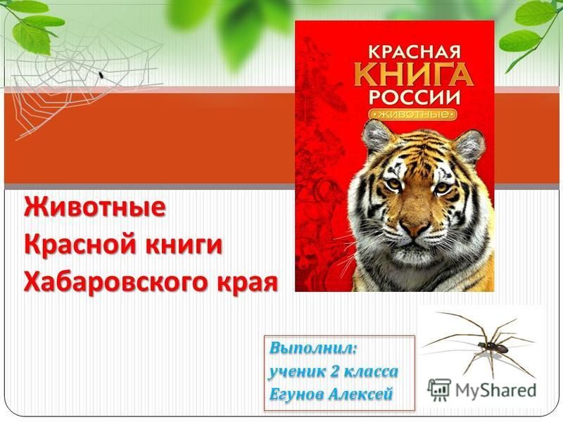 Презентация красная книга хабаровского края